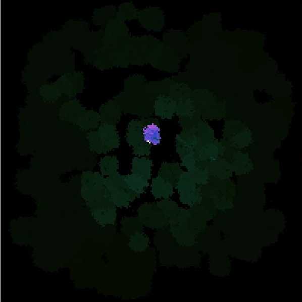 A small population of digital organisms in the Avida virtual Petri dish.