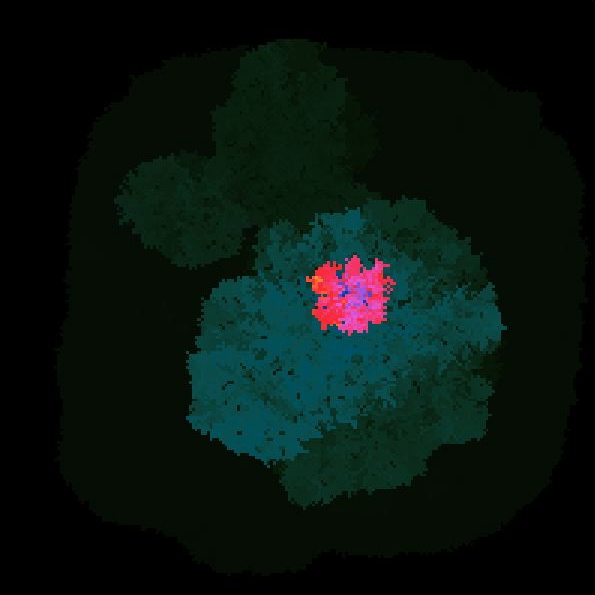 A small population of digital organisms in the Avida virtual Petri dish has begun to evolve.