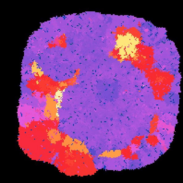 A small population of digital organisms in the Avida virtual Petri dish has evolved with several visible sub-populations.